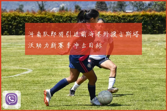 河南队即将引进前海港外援古斯塔沃助力新赛季冲击目标