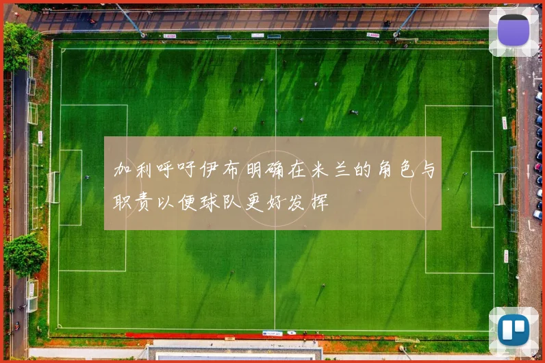 加利呼吁伊布明确在米兰的角色与职责以便球队更好发挥