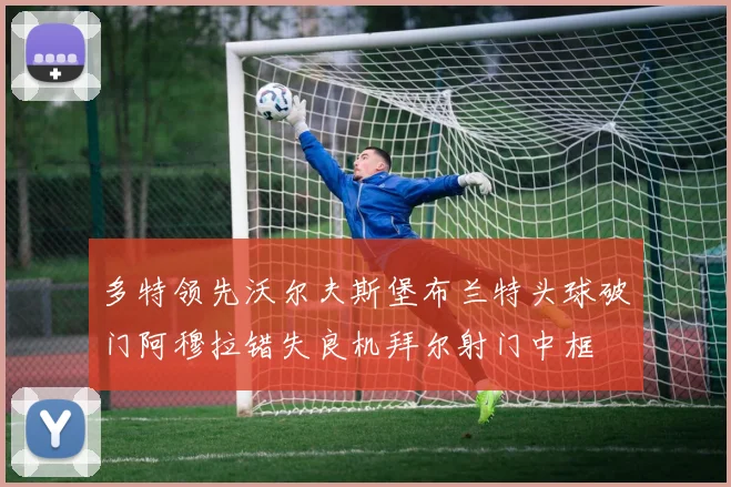 多特领先沃尔夫斯堡布兰特头球破门阿穆拉错失良机拜尔射门中框