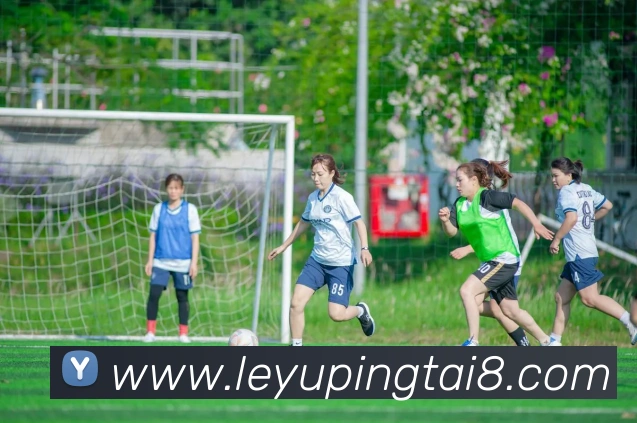 乐鱼平台品牌故事